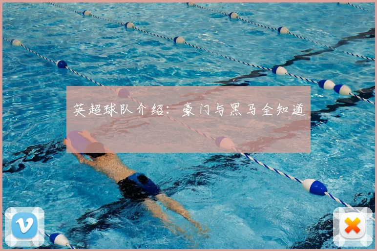 英超球队介绍：豪门与黑马全知道