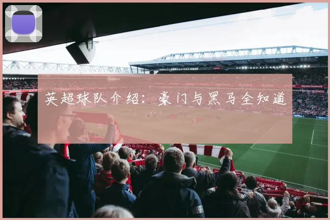 英超球队介绍:豪门与黑马全知道